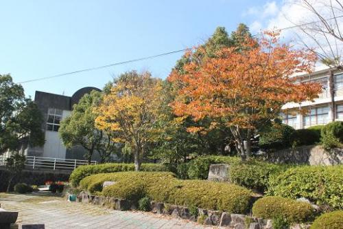 晩秋の小野田高校その１